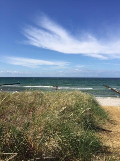 Grosse Kirr Villa Zingst Kültér fotó