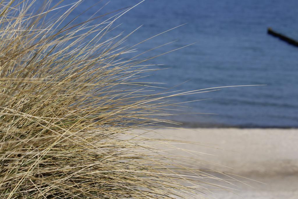 Grosse Kirr Villa Zingst Kültér fotó